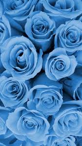 Iphone Wallpaper Floral Hintergrundbildiphone Tapete In 2020 Blue Roses Wallpaper Blue Wallpaper Iphone Blue Aesthetic Pastel