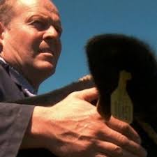 Stream Stephen Daltry music