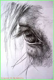 Animalpencildrawingseasy Bleistiftzeichnungen Lieblingsfotos Zeichnungen Bleistift Einige Meiner Auge Pferd Zeichnung Pferdebilder Pferde Kopf Zeichnen