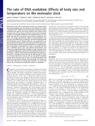 Maybe you would like to learn more about one of these? Pdf The Rate Of Dna Evolution Effects Of Body Size And Temperature On The Molecular Clock