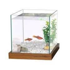 Aquarium Combattant 20x20x20 Cm Vol 8l Wenge Poisson Combattant Aquarium Combattant Aquarium Decoration