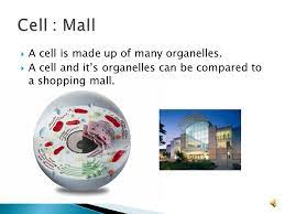 Cell Organelle Analogies Ppt Video Online Download