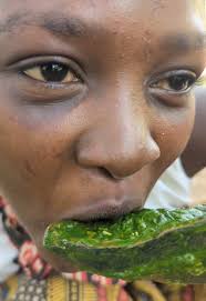 Discover Hadzabe Culture: An Authentic Tour Experience