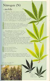 Nutrient Deficiencies And Toxicities In Cannabis Sick