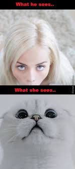 What He Sees Vs What She Sees By Cyy Meme Center