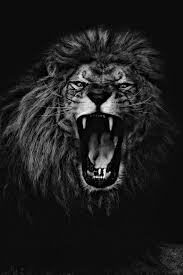 Black And White Angry Lion Face Wallpaper Unchallenged Untamed Uncreated One Colossians 1 15 20 Schwarzes Bild Bilder Lowen Tatowierung