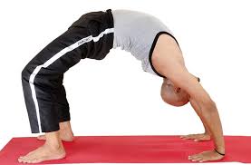 Conducted yoga workshops for 5 star hotels, international schools, modeling agencies, p.s.p.b, gail , unicef, prominent american ngos and also given yoga tips to top most politicians, bureaucrats and film actors of mumbai. Go Yogic Healing Yoga Big Umbrella