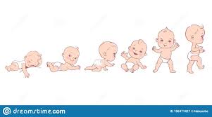 Baby Development Baby Growth From Newborn To Toddler Scale