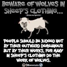 Maybe you would like to learn more about one of these? Kyle Butcher On Twitter Quote In The Biblical Sense Beware Of Wolves In Sheep S Clothing By Missxstatic Deception Disguise Fraud