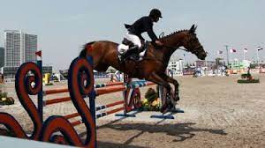 10 facts of lailli mirza. Horses For Courses Fouaad S Silver Adds To Family Legacy