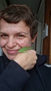 Emerald green katydid in Lansing, Michigan