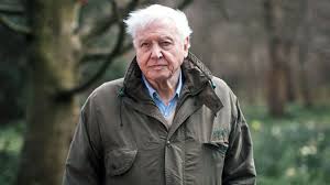 The screenings website of david attenborough: David Attenborough Is Teaching Kids About Wildlife Online