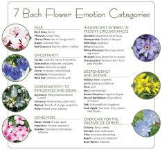 Bach 7 Categories Of Emotions Bach Flower Remedies Bach Remedy Flower Remedy