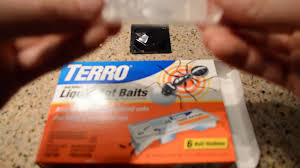 Although terro has a low toxicity risk, some pets may have a reaction to the ant killer. 5 Best Pet Safe Ant Killers In 2021 Detailed Reviews