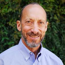 Find Your Voice, Save Your Life: Transcendent Men, Real Stories: 4 :  Leeder, Dianna: Amazon.com.au: Books