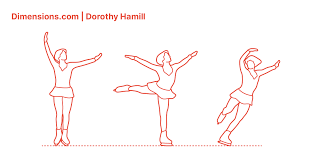 If the camel gets you do not necessarily have to travel to the middle east in order to buy a camel. Dorothy Hamill Dimensions Drawings Dimensions Com