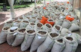 Pangolin brings you the best trading opportunities to find and maximize. 38 7 Million Worth Of Pangolin Scales Seized In Singapore Abc News