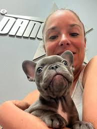 Visitors like this stop us dead in our tracks! We love meeting our families  doggies!! Meet “Blueberry” The cutest little frenchie 💙