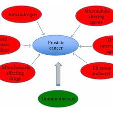 People with advanced cancer often need help with these things. Current Treatment Options For Advanced Prostate Cancer Several Classes Download Scientific Diagram