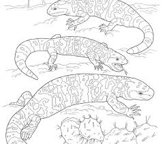 Printable Pictures Of Desert Animals And Plants Printable Coloring Pages Of Desert Plants Monster Coloring Pages Desert Animals Coloring Animal Coloring Pages