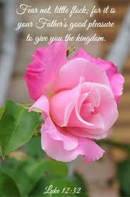 I have added a link to the bible dictionary entries of george edward post. Pin By Kyla Mcpeters On Bible Beautiful Roses Beautiful Pink Roses Beautiful Flowers