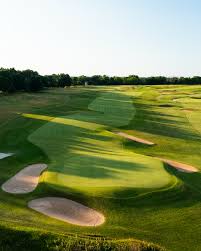 Image result for Lawsonia