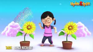 Hairannya, setelah beberapa hari ditanam pokok bunga matahari belum bercambah. Lagu Upin Ipin Bunga Matahari Youtube