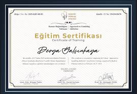 deryayalçınkaya - Twitter Hashtag | Sotwe