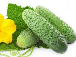 Check spelling or type a new query. Why Do My Cucumbers Grow In A Ball Miss Chen Garden Manage Gfinger Is The Best Garden Manage App