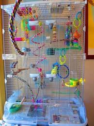 Super Bird Cage Ideas Pet Ideas Pet Bird Cage Parakeet Cage Best Pet Birds