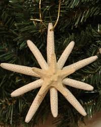 Cadillac cruising christmas card code: 45 Best Beach Christmas Pictures Ideas Beach Christmas Christmas Pictures Beach Christmas Pictures