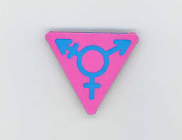 Often used in its direct meaning. Transgender Symbol On Pink Triangle Pin Digital Transgender Archive