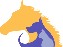 It is our commitment to provide quality veterinary care throughout the life of your pet. Perth Pet Vet Services Offering Vaccinations Preventative Health Care Dental Procedures And More