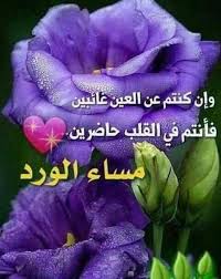 قلوبا كثيرة في حيــــــاتي لكن قلوبكم هي من تذكرني بالخير قلوب هادئة صافيه دخلت حياتي بهدوء و ملأتني فرحا evening quotes good evening morning pictures