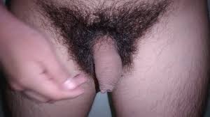 Mi pene virgen está muy peludo, lo rasuro?