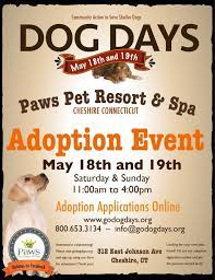 Maybe you would like to learn more about one of these? Cheshire Ct Dog Days Adoption Event Petfinder Event Calendar