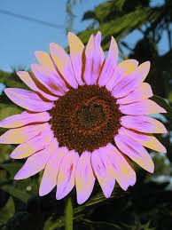 Homes & gardens is the most beautiful and inspirational home interiors magazine, and what better year to launch than during its glorious centenary year. Pin On For My Home And Garden