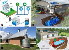 Image result for Ondo Blue 1990 Tracer