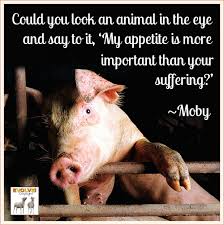 Pin By Amy Harwell On Do You Really Love Animals Vegan Quotes Going Vegan Vegan Animals