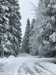 In 2013, op 23 mei, viel er nog natte sneeuw in limburg. Weerwoord Re Laatste Sneeuw In Zuid Limburg