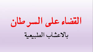 علاج بطانة الرحم المهاجرة بالاعشاب تخلصى من امراض الرحم بالاعشاب عجيب وغريب