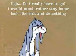 Ugh Leave Me Alone I Don T Wanna Go Anywhere Today Jokes Quotes Funny Quotes Funny