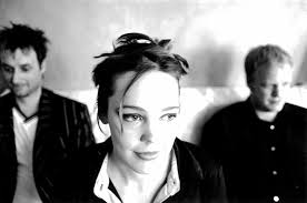 NZ Down Tempo Electronica