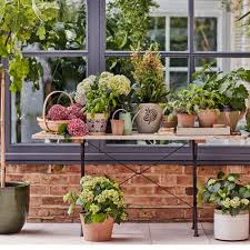 From balcony gardens to wild gardens, gardening trends expected to grow in popularity in 2021, what they mean and how to embrace them. Garden Trends 2021 Garden Ideas And Latest Trends From The Experts
