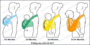 We did not find results for: Babywearing In The Firts Year