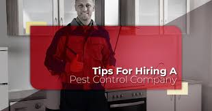 Imperial pest prevention is the number one pest control companies serving be daytona beach and its surrounding. Pest Control Springtown Tips For Hiring The Right Company