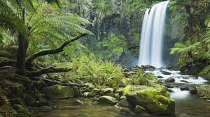 papel de parede cachoeira na floresta floresta amazonica cachoeira papel de parede floresta cachoeira papel de parede floresta