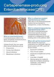 Image result for Enterobacteriaceae