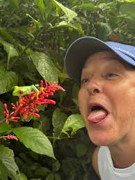 Guanacaste tour recommendations in Costa Rica