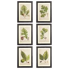 Select from premium leaf frame of the highest quality. Set Of 6 Black Framed Tree Leaf Prints Oka